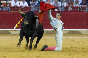 El diestro Fernando Adrián, en su faena al segundo de la tarde en la corrida de la Feria del Pilar, este miércoles en Zaragoza. EFE/Javier Cebollada