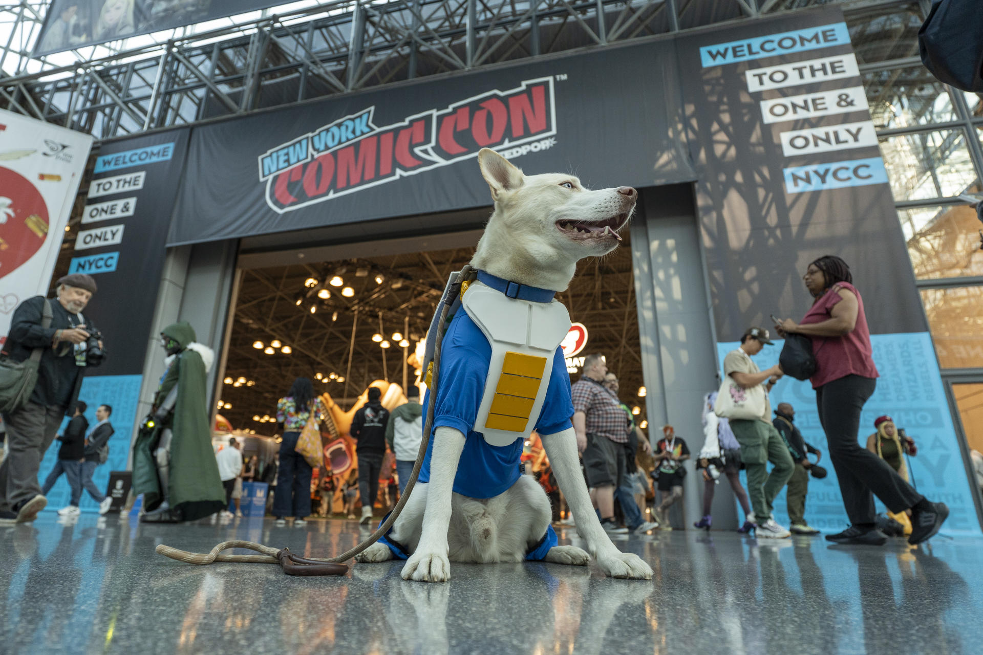 Fotografía que muestra a un perro disfrazado de Vegeta durante la Comic Con este jueves, en Nueva York (Estados Unidos). EFE/ Ángel Colmenares