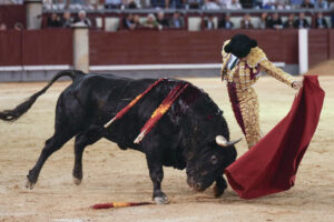 El diestro Jarocho da un pase con la muleta al segundo de los de su lote, durante la corrida de la Feria de Otoño celebrada este sábado en la plaza de toros de Las Ventas, en Madrid. EFE/Borja Sánchez-Trillo