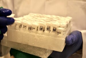 Fotografía de archivo de unas muestras que se conservan en un biobanco. EFE/ Fernando Gimeno
