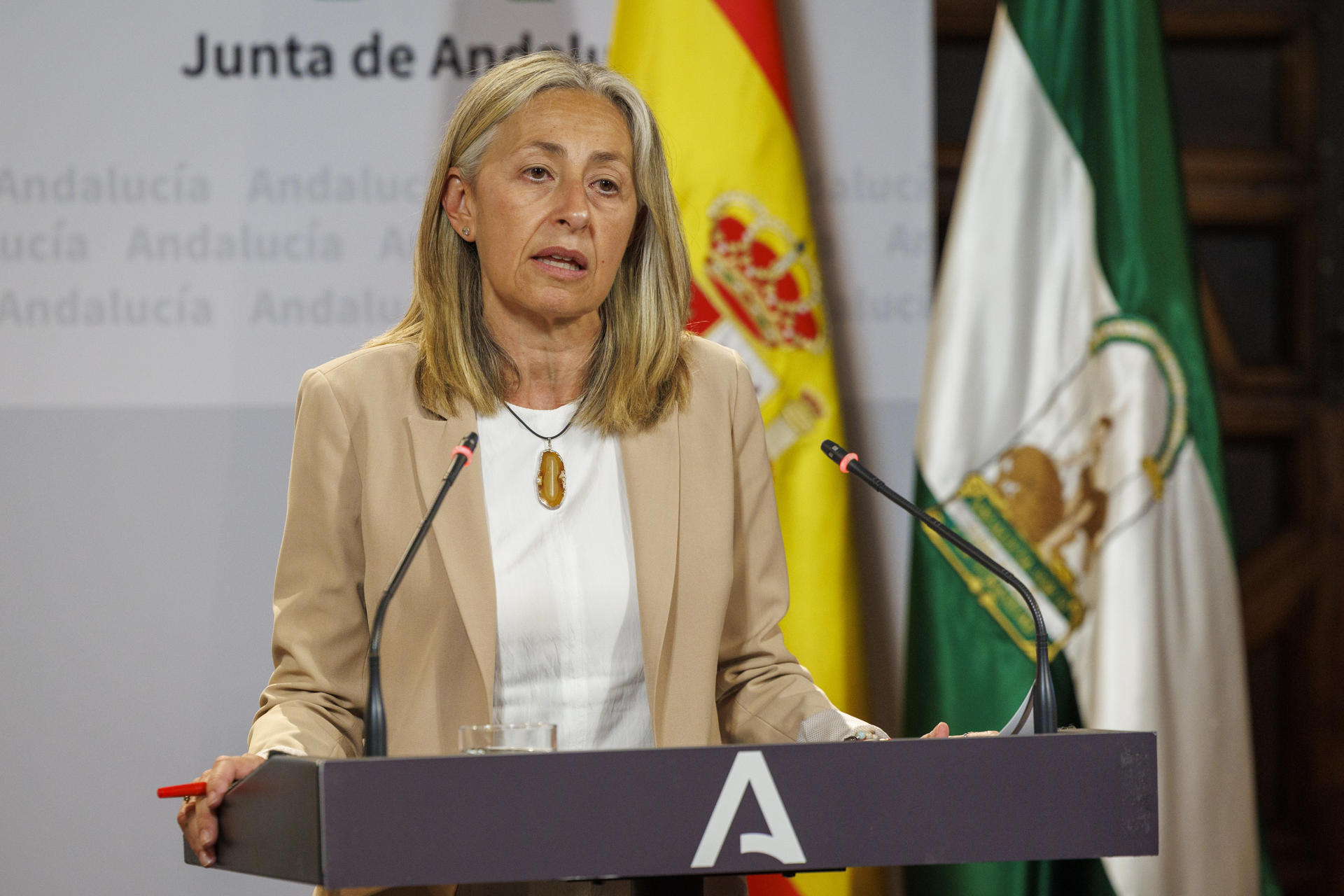 La consejera de Salud, Rocío Hernández, en una imagen de archivo. EFE/ Julio Muñoz