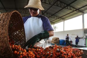 Brasil, la mayor economía de Latinoamérica, ha reforzado su apuesta por poner en marcha una nueva industria más verde. EFE/ Carlos Meneses
