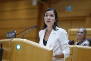 La senadora del PP Pilar Rojo interviene en el pleno del Senado, este miércoles. EFE/ Rodrigo Jiménez
