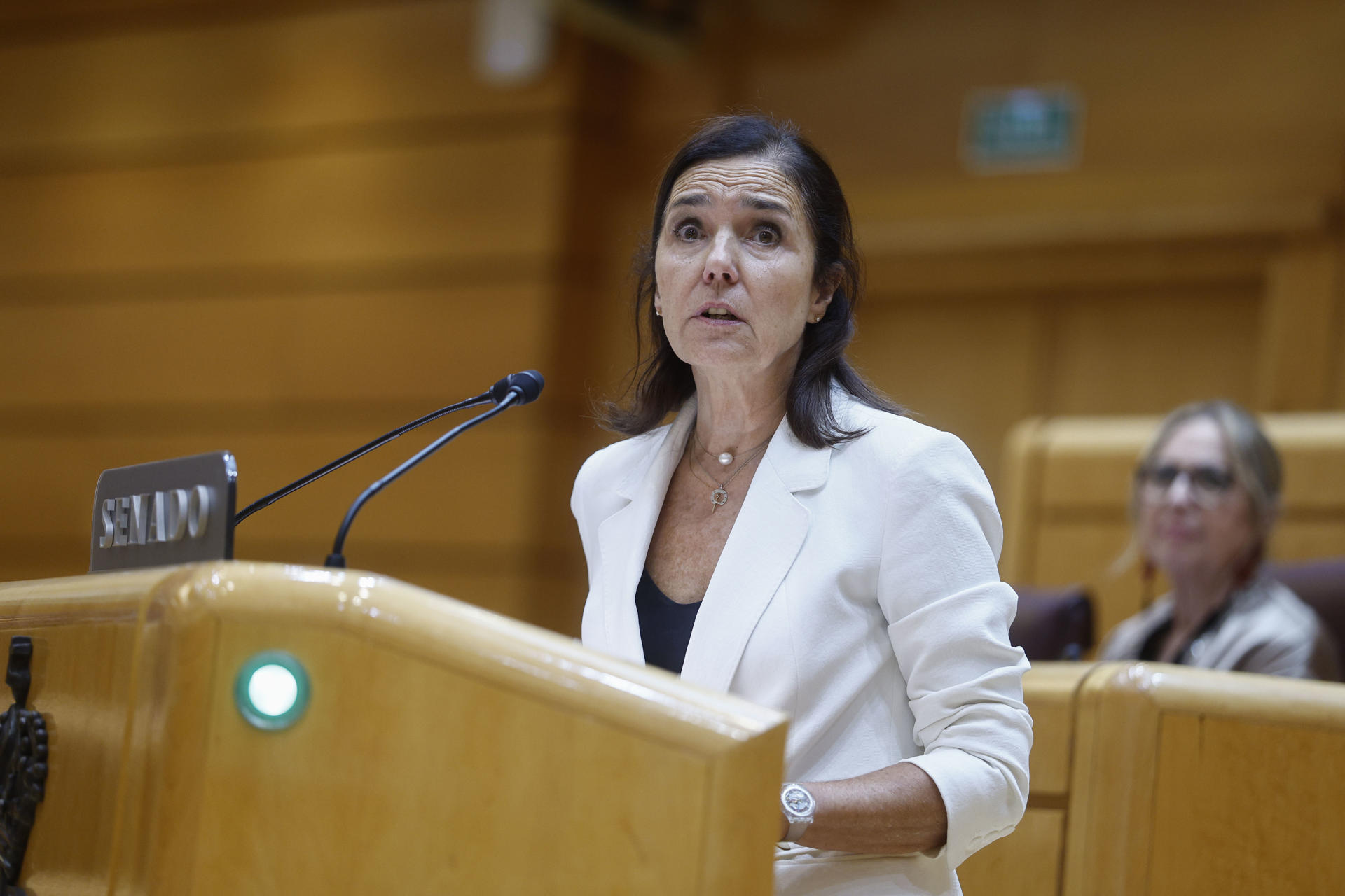 La senadora del PP Pilar Rojo interviene en el pleno del Senado, este miércoles. EFE/ Rodrigo Jiménez