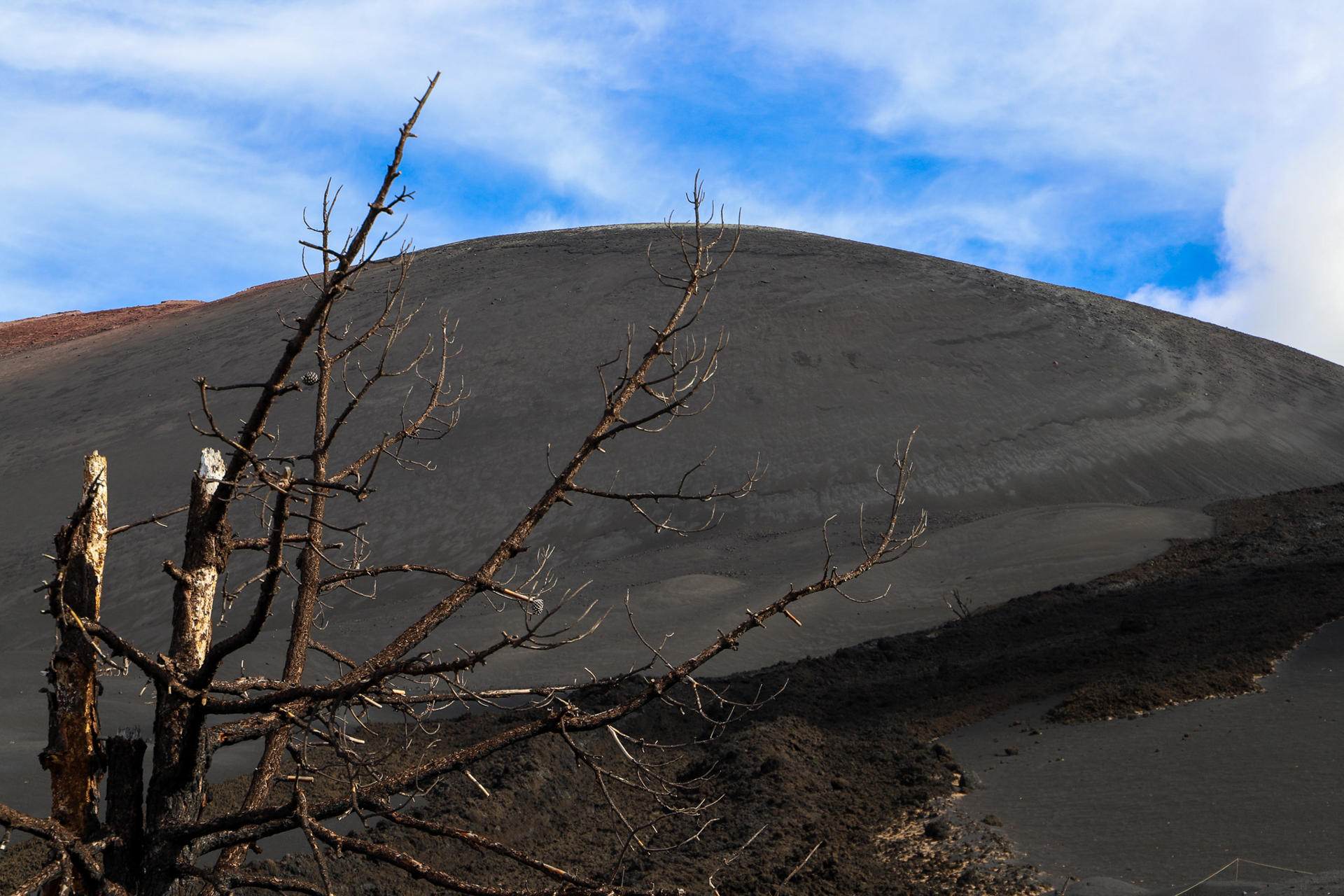 Imagen de acumulaciones de ceniza en el entorno del volcán Tajogaite. EFE / Luis G Morera