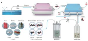 Ilustración del sistema propuesto para la captura y el reciclaje de carbono oceánico artificial. El esquema muestra el sistema de reciclaje de carbono oceánico artificial que captura y convierte el CO2 oceánico en productos bioquímicos mediante procesos electro-biocatalíticos. Fotografía facilitada por Chengbo Li et al., Nature Catalysis.