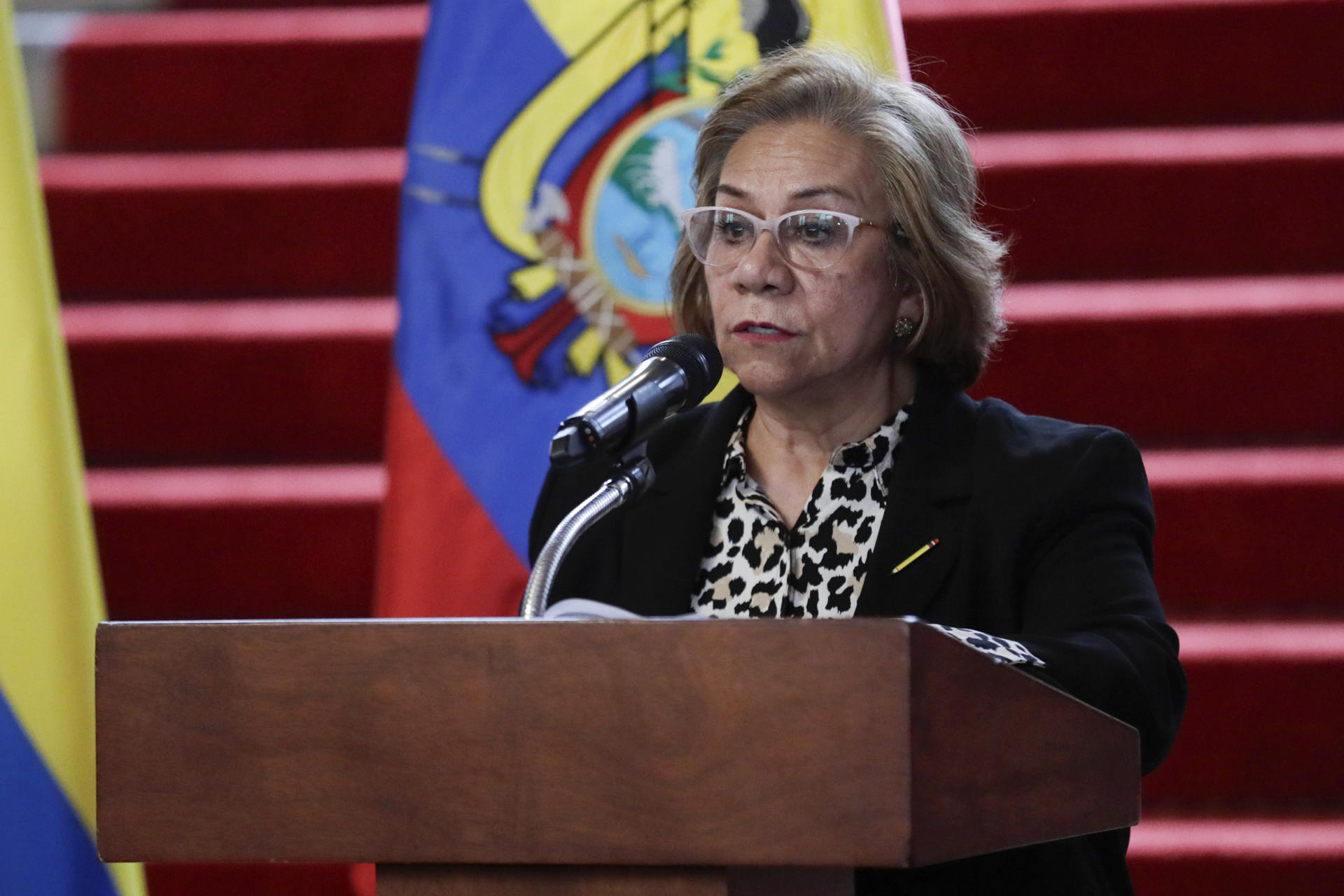 La canciller de Colombia, Rosa Yolanda Villavicencio, habla en una rueda de prensa este martes, en Bogotá (Colombia). EFE/ Carlos Ortega