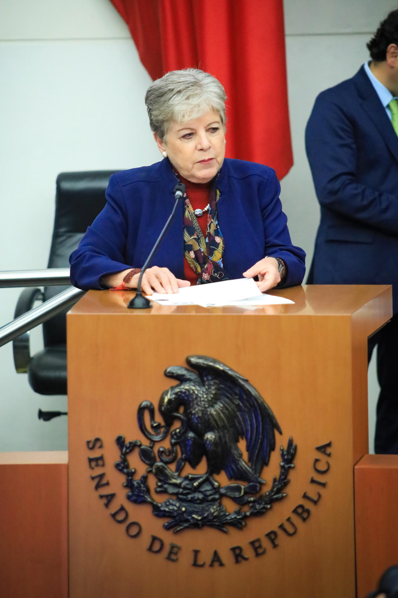 La secretaria de Medio Ambiente y Recursos Naturales de México, Alicia Bárcena, durante una sesión en el Senado de la República en Ciudad de México (México). EFE/ Semarnat
