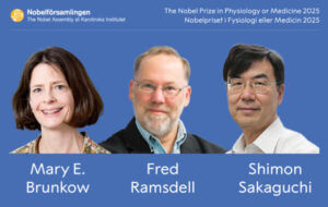 El Premio Nobel de Medicina o Fisiología 2025 es para Mary E. Brunkow, Fred Ramsdell y Shimon Sakaguchi "por sus descubrimientos relacionados con la tolerancia inmunológica periférica", informó este lunes la Asamblea Nobel del Instituto Karolinska de Estocolmo. EFE/Asamblea Nobel del Instituto Karolinska de Estocolmo - SOLO USO EDITORIAL/SOLO DISPONIBLE PARA ILUSTRAR LA NOTICIA QUE ACOMPAÑA (CRÉDITO OBLIGATORIO) -