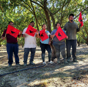Fotografía cedida por la Unión de Campesinos (UFW) donde aparecen trabajadores del sindicato agrícola. EFE/ UFW