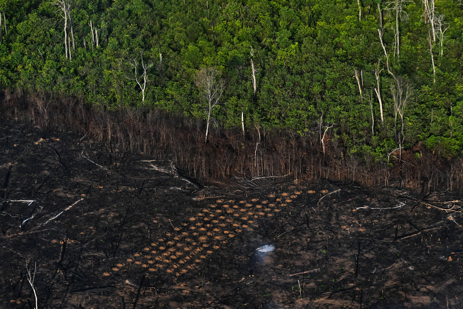 Fotografía del 27 de septiembre de 2025 que muestra un incendio forestal cerca de la aldea indígena Kaluani-Paraiso en Gaúcha do Norte (Brasil). EFE/Andre Borges
