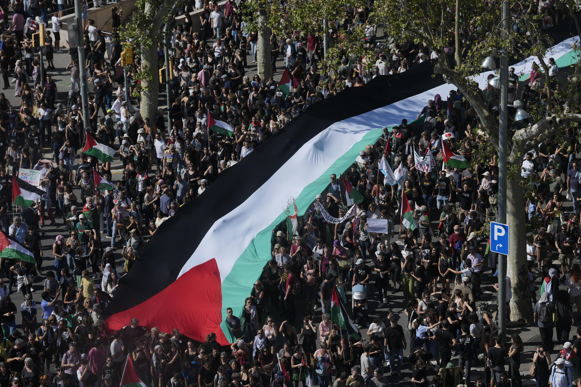 Manifestación convocada por más de 600 entidades y sindicatos en apoyo a Palestina y contra el "genocidio" de Israel, este sábado, en Barcelona. EFE/ Enric Fontcuberta
