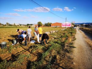 Imagen de archivo de agricultores en el campo. EFE/J.C. Fraile Esteve