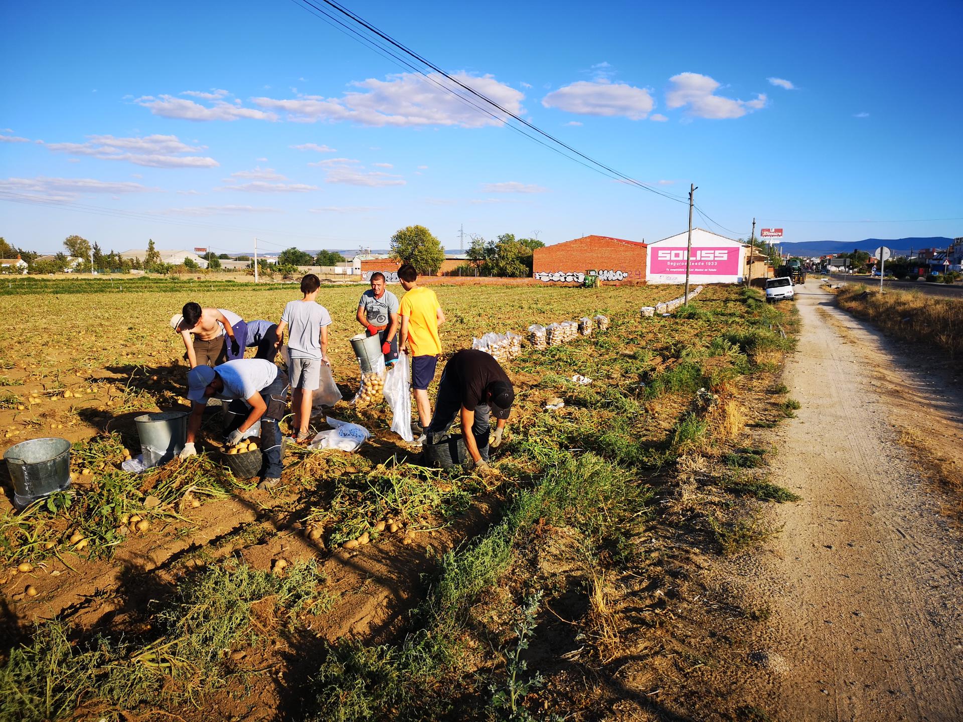 Imagen de archivo de agricultores en el campo. EFE/J.C. Fraile Esteve