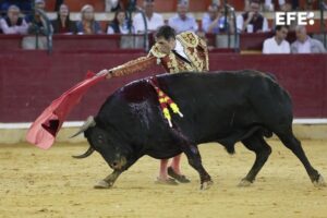 El diestro Javier Castaño en su faena durante la corrida celebrada con motivo de las Fiestras del Pilar 2025, este domingo en Zaragoza. EFE/ Javier Cebollada