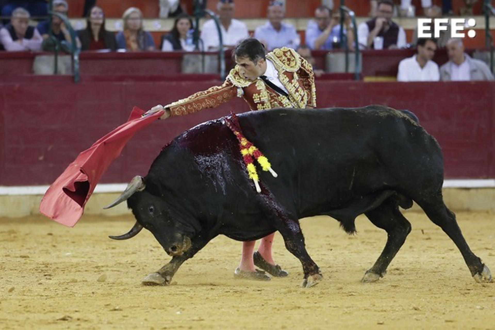 El diestro Javier Castaño en su faena durante la corrida celebrada con motivo de las Fiestras del Pilar 2025, este domingo en Zaragoza. EFE/ Javier Cebollada