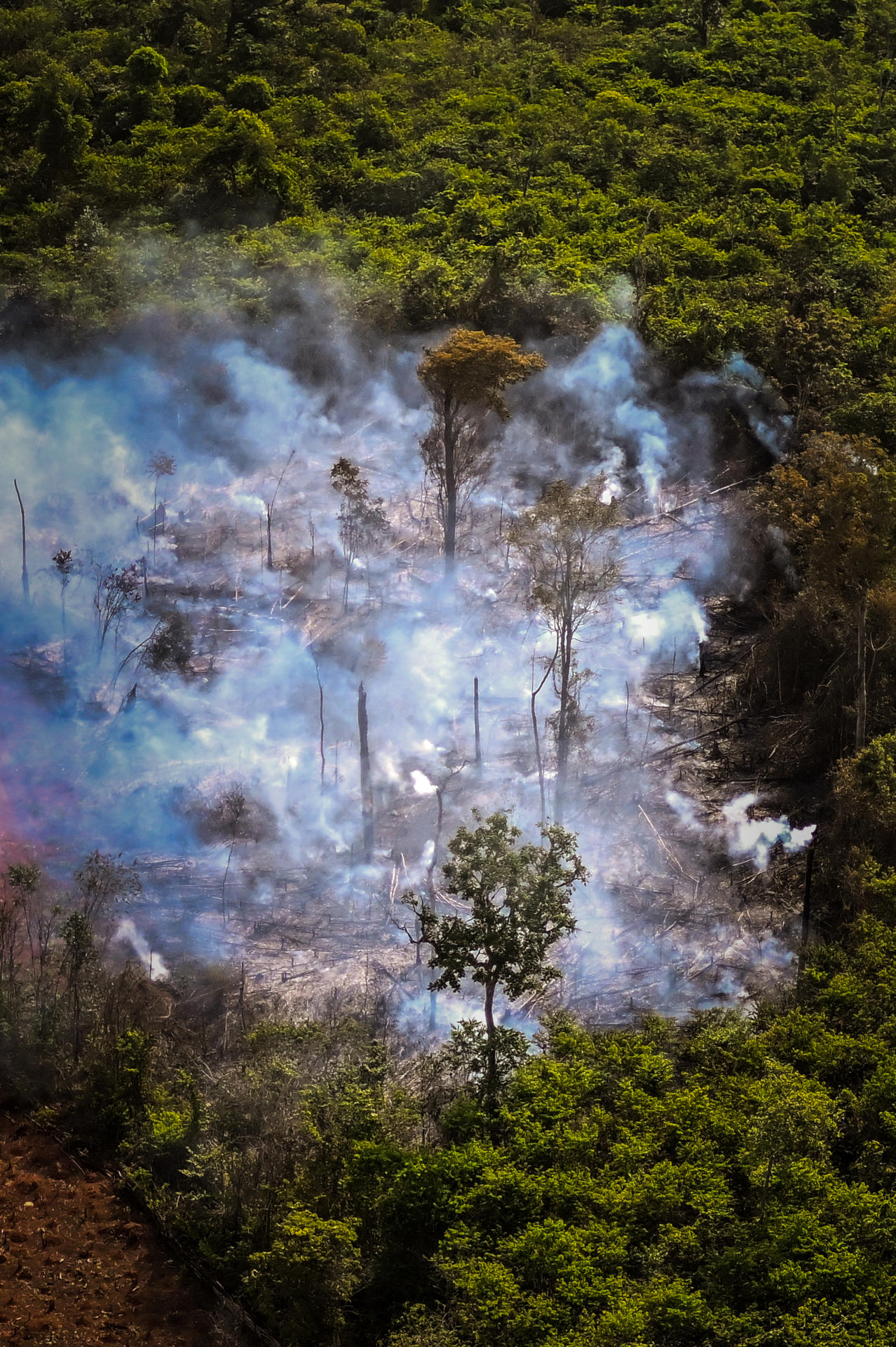 Fotografía del 27 de septiembre de 2025 que muestra un incendio forestal cerca de la aldea indígena Kaluani-Paraiso en Gaúcha do Norte (Brasil). EFE/Andre Borges
