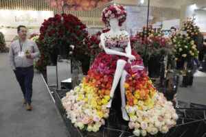 Un visitante (i) fue captado este miércoles, 1 de octubre, al recorrer la feria Proflora, la muestra comercial de flores más importante de América, en el recinto ferial de Corferias, en Bogotá (Colombia). EFE/Carlos Ortega