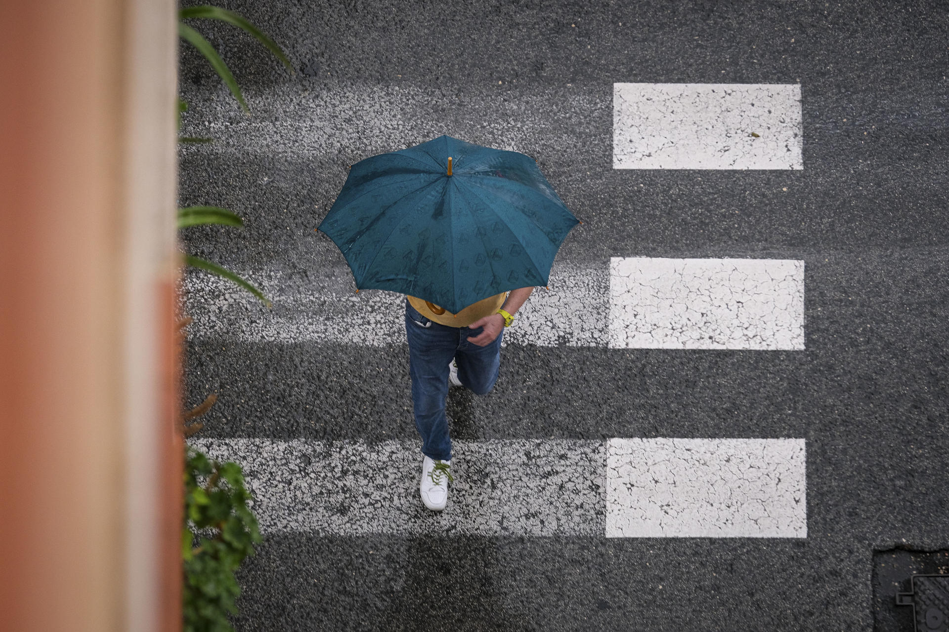 Un hombre se protege de la lluvia en La Foia, en Elche, el jueves. EFE/ Pablo Miranzo