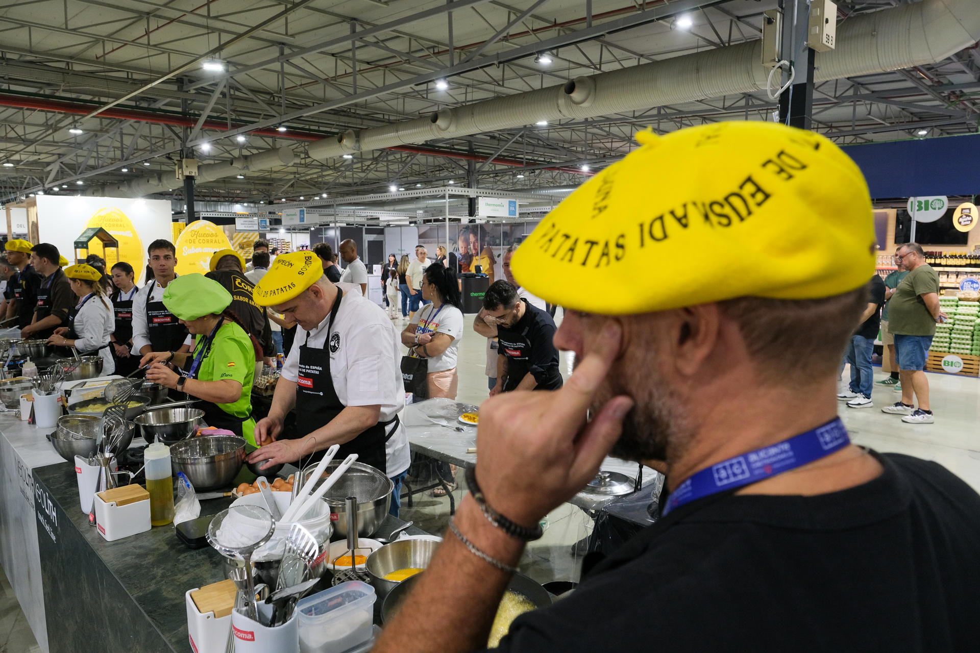 Veinte cocineros de Galicia, Cantabria, La Rioja, Madrid, País Vasco, Castilla y León, Extremadura y la Comunidad Valenciana se disputan el XVIII Campeonato de Tortilla de Patatas-trofeo Tescoma, uno de los principales hitos de la feria Alicante Gastronómica. EFE/ Pablo Miranzo

