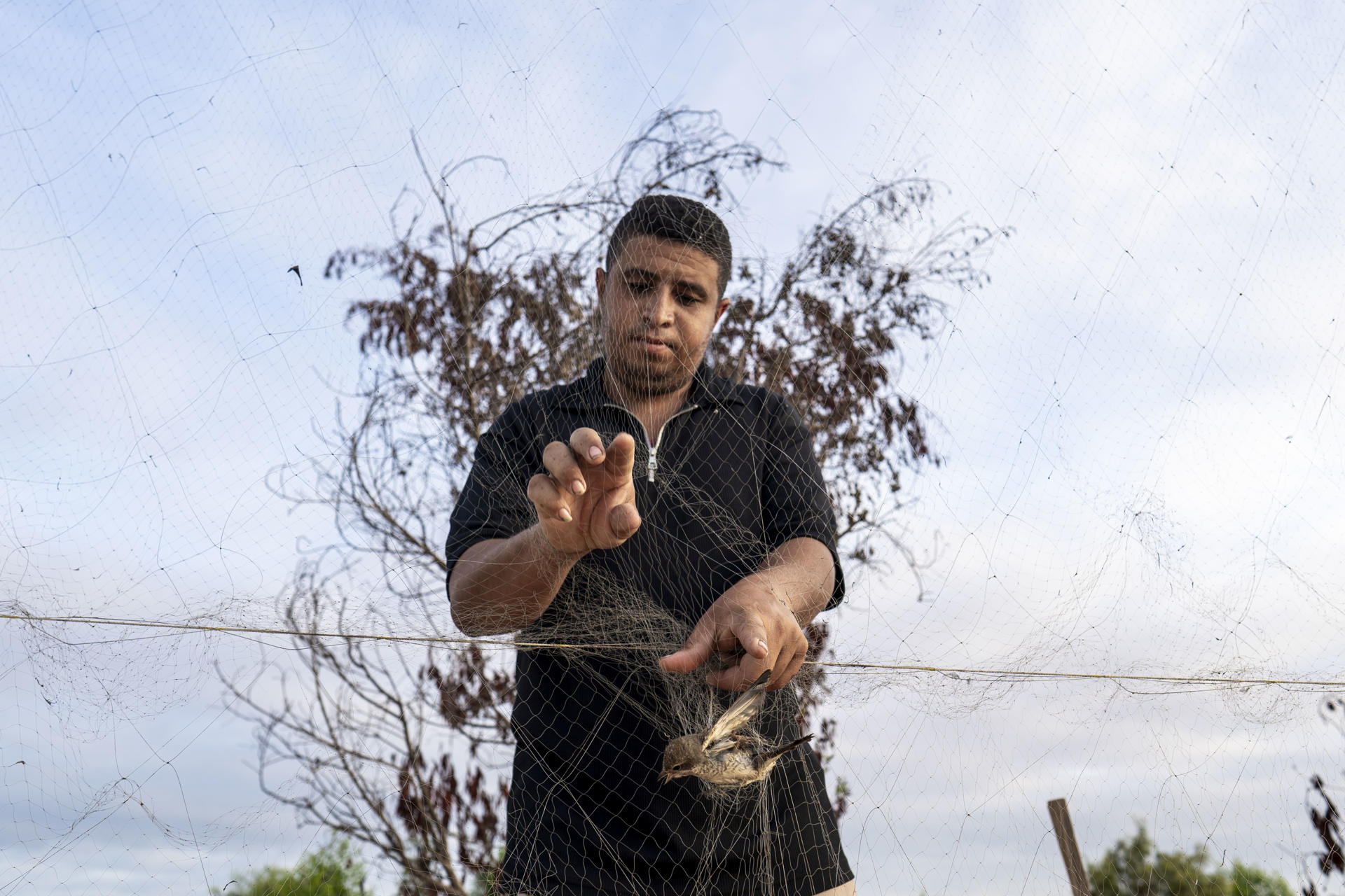 Cerca de la costa del lago de Al Bardawil en la ciudad de Bir Al Abd, en la provincia nororiental egipcia Norte del Sinaí, Salem, de 26 años, se levanta al amanecer para recoger las aves que atrapa con redes instaladas cerca del lago, una técnica centenaria que ahora se enfrenta a la amenaza de extinción de los pájaros que captura. EFE / Ali Mustafa
