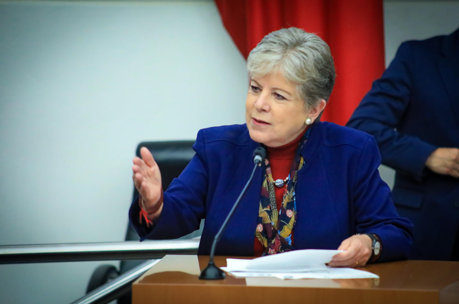 La secretaria de Medio Ambiente y Recursos Naturales de México, Alicia Bárcena, durante una sesión en el Senado de la República en Ciudad de México (México). EFE/ Semarnat
