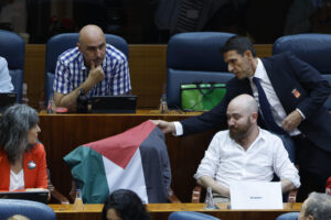 Retiran una bandera de Palestina durante el pleno de este jueves en la Asamblea de Madrid, marcado por la inmigración, el conflicto en Gaza y el "síndrome postaborto". EFE/ Javier Lizon