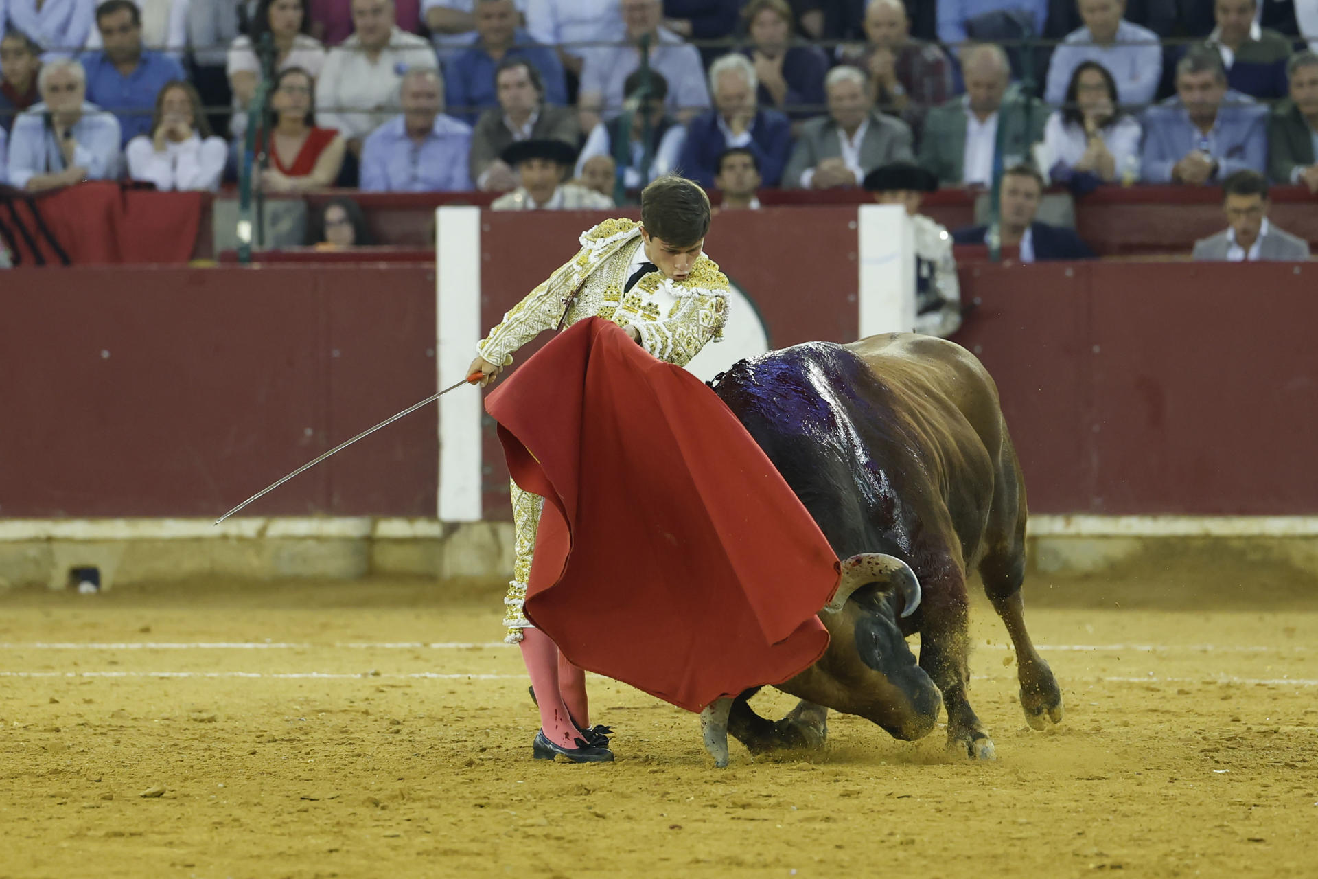 El diestro Aarón Palacios da un pase durante la corrida de la Feria del Pilar celebrada este jueves en la plaza de toros de Zaragoza. EFE/Javier Cebollada